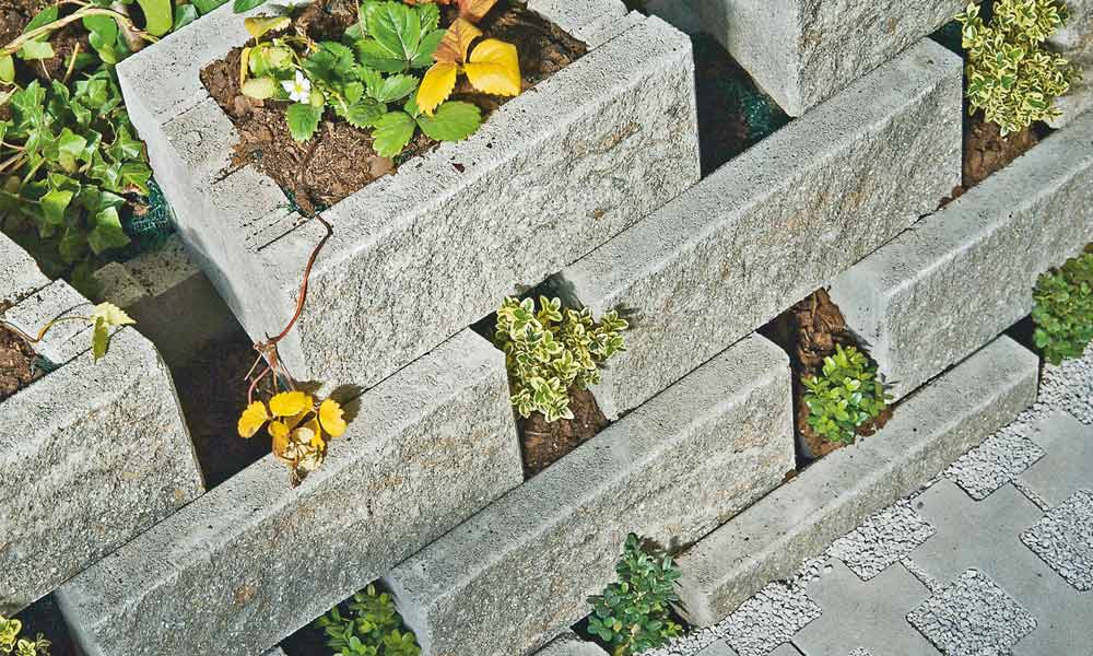 Pflanzstein Faro muschelkalk Pflanzstein Faro muschelkalk