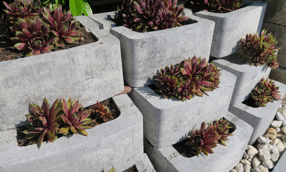 Pflanzstein Planta Mini granitgrau-schattiert, Einkerbungen für den Tropfschlauch sorgen für eine optimale Versorgung der Pflanzen.