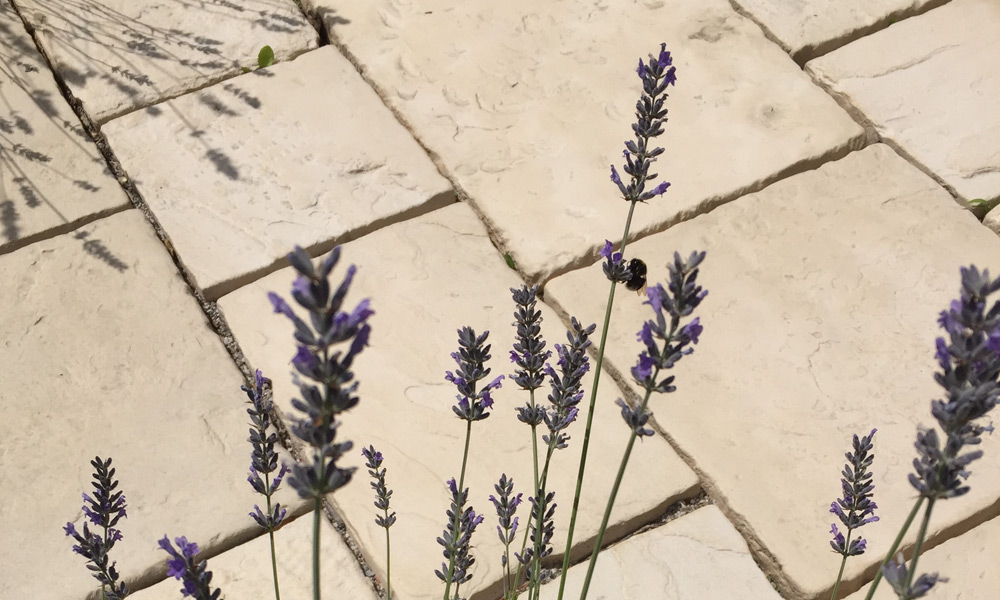 Parkstone Antik Set elfenbein-schattiert Parkstone Antik Set elfenbein-schattiert