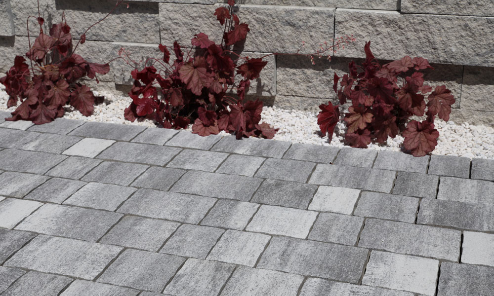 Nuavo Natur Kombipflaster in granitgrau-schattierter Optik, verlegt in einer Einfahrt mit angrenzendem Pflanzstreifen; Pflastersteine von Friedl Steinwerke mit natürlichem Erscheinungsbild. Nuavo Natur Kombipflaster in granitgrau-schattierter Optik, verlegt in einer Einfahrt mit angrenzendem Pflanzstreifen; Pflastersteine von Friedl Steinwerke mit natürlichem Erscheinungsbild.