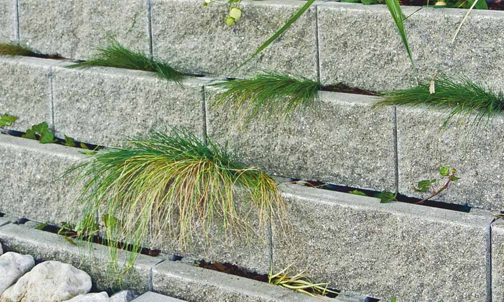 Pflanzstein Faro grau Pflanzstein Faro grau