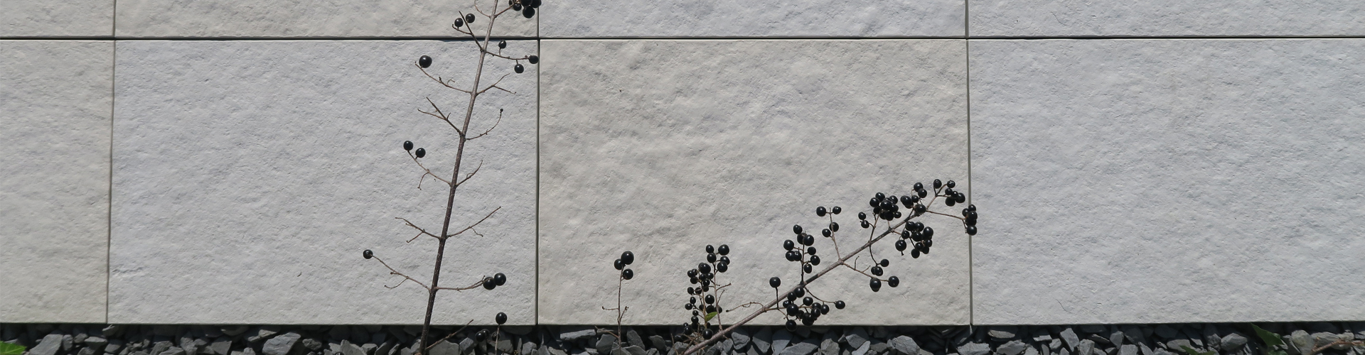 Terrassenplatten Versus von Friedl Steinwerke