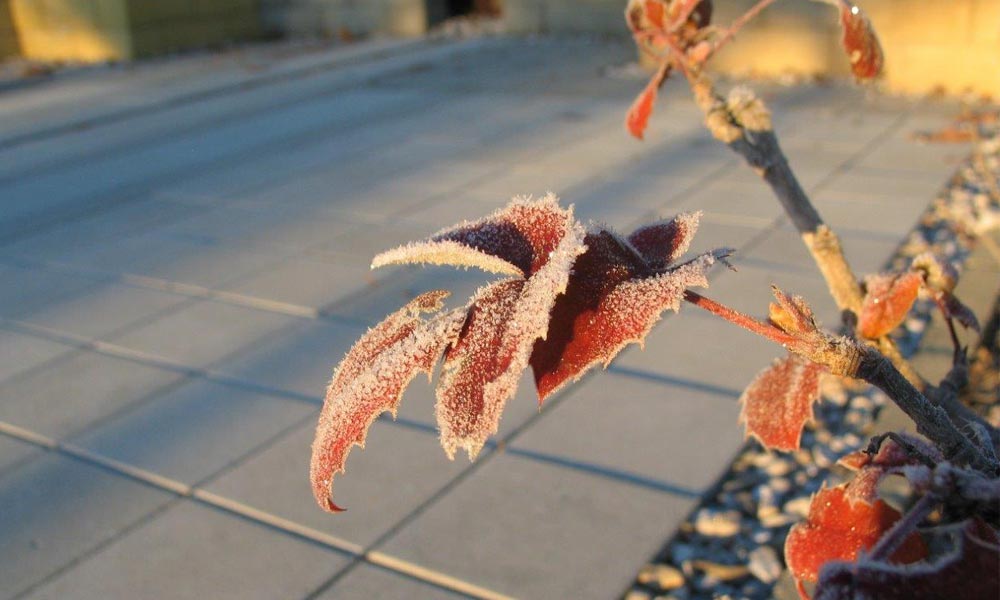 Winter Friedl Steinwerke