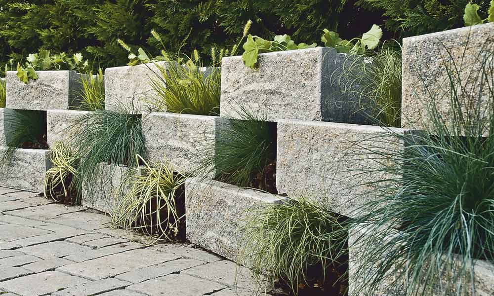 Pflanzstein Faro muschelkalk Pflanzstein Faro muschelkalk