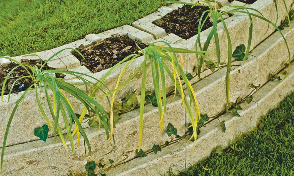 Pflanzstein Faro kalkstein-schattiert Pflanzstein Faro kalkstein-schattiert