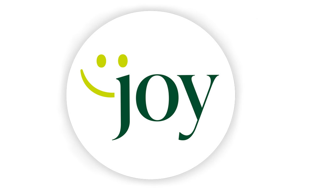 JOY Friedl Steinwerke
