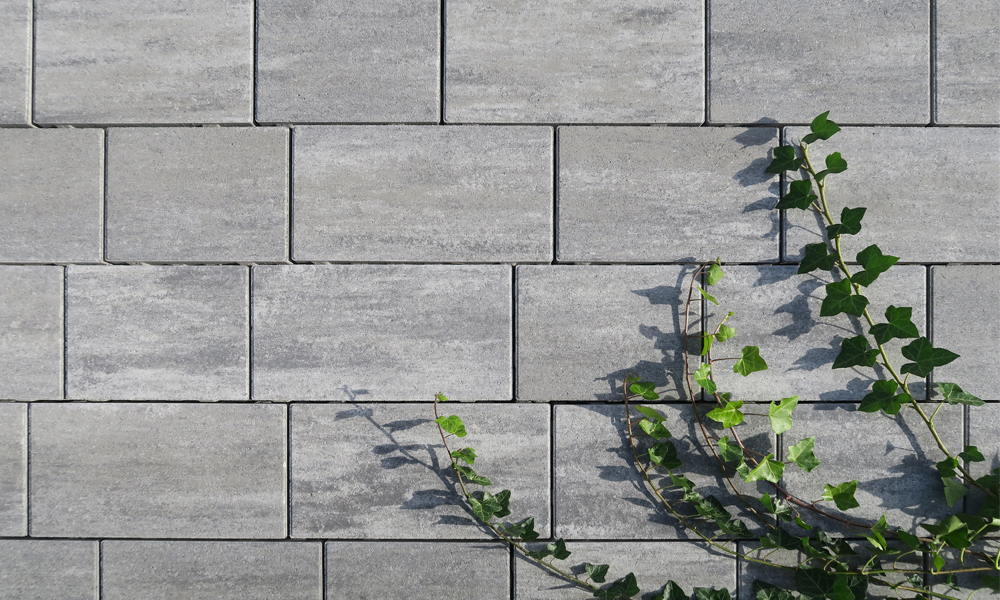 Cadea B20 VG steingrau-schattiert Cadea B20 VG steingrau-schattiert