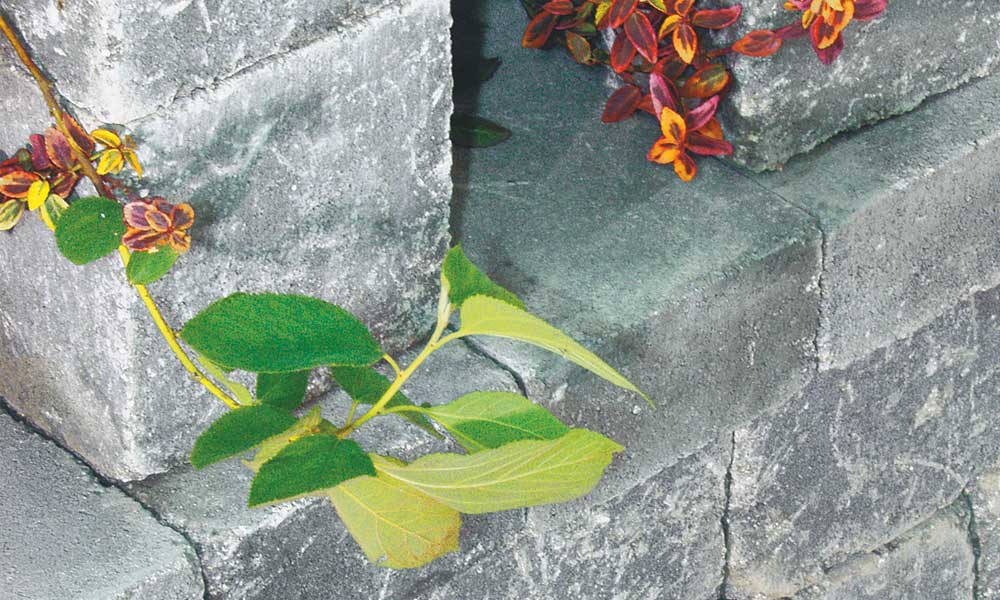 Zaun- und Mauerstein Grado anthrazit Zaun- und Mauerstein Grado anthrazit